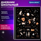 Дневник 5-11 класс 48 л., твердый, BRAUBERG, глянцевая ламинация, с подсказом, "Astro cats", 106868